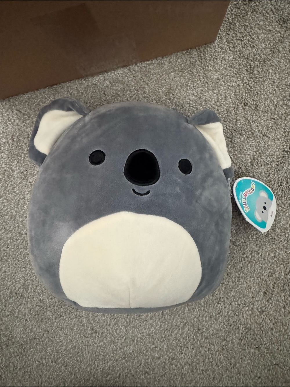 Kirk the Koala 8” Squishmallow